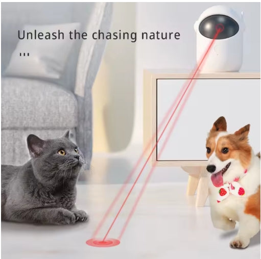 Smart Laser Toy for Indoor Cats - Tested by Pablo🐾